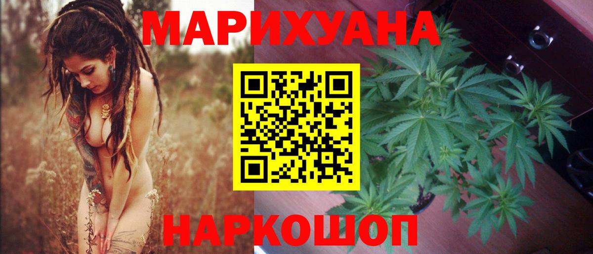 Санкт-Петербург  Каннабис гибрид  Конопля ГИДРОПОН  Каннабис сатива  Вход с VPN 
